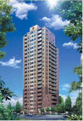 �W�F���g���G�A�_�{�O�@�����\�z�p�[�X