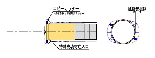 Xebv1