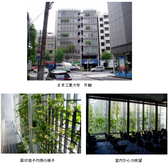 �o�[�e�B�J���E�O���[���E�V�X�e���K�p�ʐ^