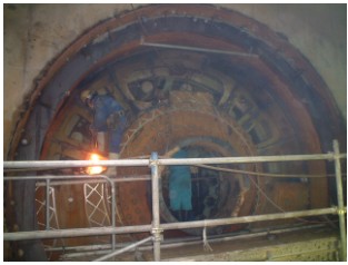 ��̒��̃V�[���h�}�V��