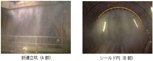 ���B���R�A�V�[���h��