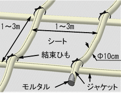 パレスシートのイメージ