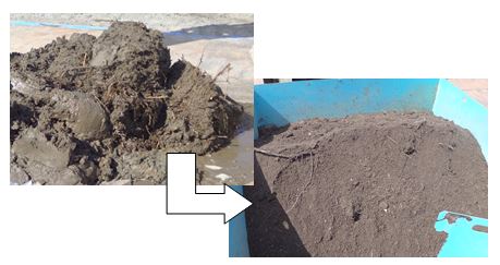 泥DRYによる土壌改質効果（左：処理前、右：添加・撹拌後）