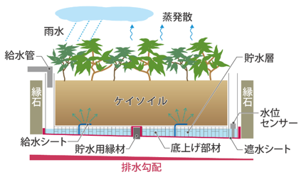 エバクールガーデン断面図