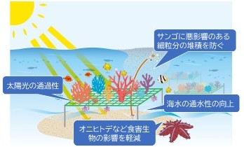 コーラルネットの機能模式図