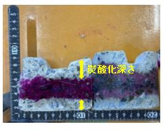 CO2を吸収した範囲（炭酸化深さ）