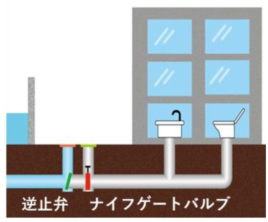 図版：二重逆流防止弁