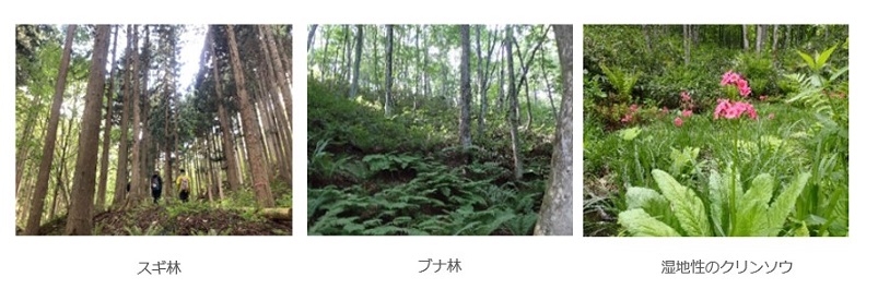 	図版