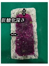 炭酸化深さを測定