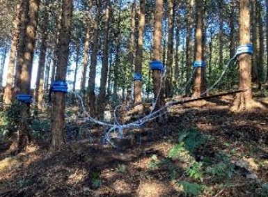 図版：各種新型センサを活用した現地計測