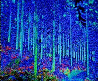 図版：森林内自律飛行ドローンなどによる森林のデジタルツインデータの取得