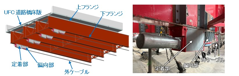 図版：鋼桁に外ケーブルを配置した状況