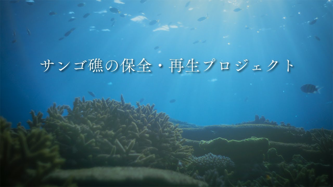 「KAJIMAはつくる　慶良間サンゴ」篇