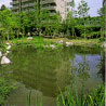 Biotope