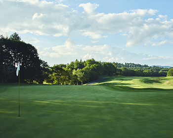 golf_1510_004