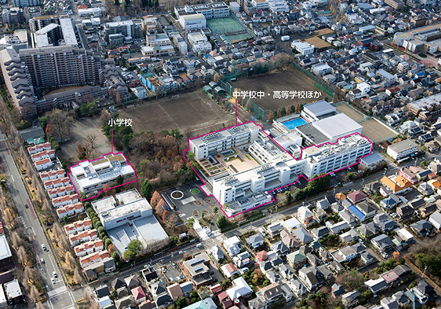 桐朋学園 男子部門