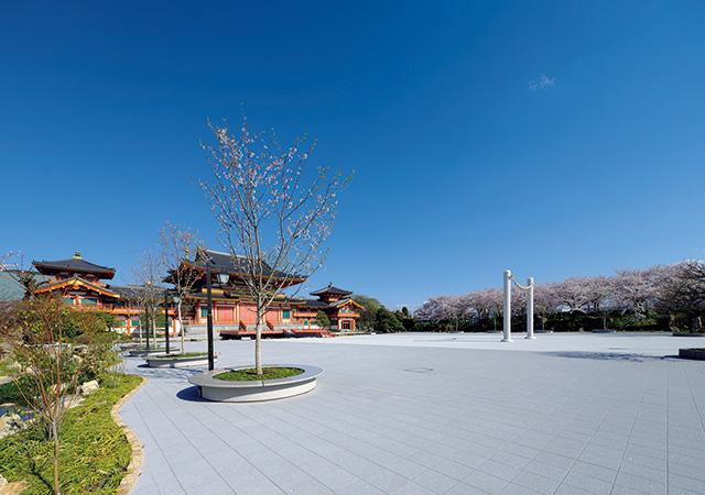 金剛寺 拝殿前広場