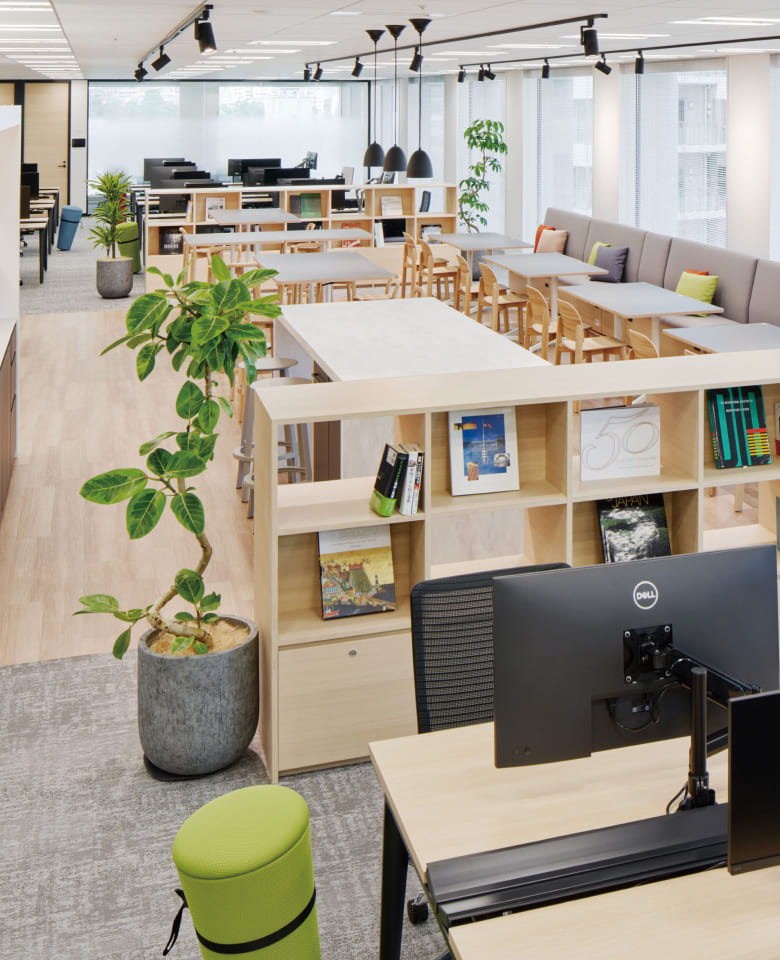 明るい木目調のデスクと観葉植物が配置された、開放的で清潔感のあるオフィス環境の写真