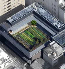 グリーンインフラ