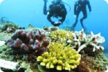environment-technology