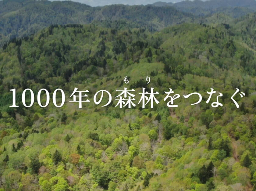 鹿島グループの森林