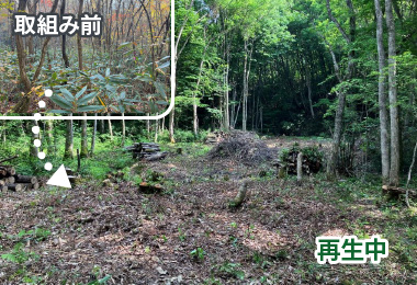 図版：湿地再生試験区の外景