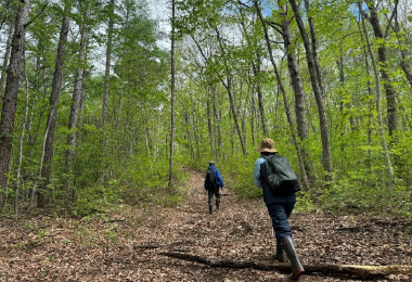 図版：林内踏査の様子