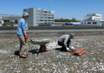 図版：下水道汚泥を再生したレンガでシェルターを制作