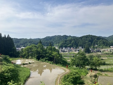 図版：田植えを終えた棚田