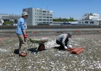 下水道汚泥を再生したレンガでシェルターを制作