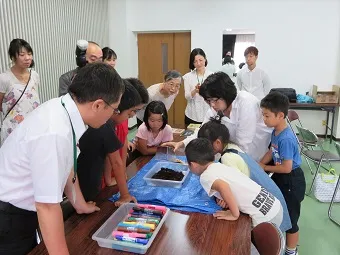 ミミズの生態やミミズコンポストについて勉強