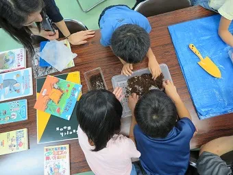 見るだけでなく実際に触って観察
