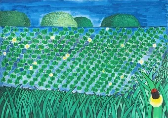 KAJIMA 100年のみどり賞 武藤杏奈さん「夜の田んぼ」 家の周り、ホタルが飛ぶ風景を描きました。