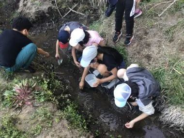班に分かれてホタル幼虫を放流