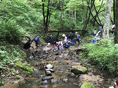 稚魚を思い思いに放流