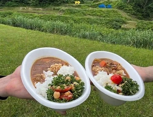 昼食のカレー
