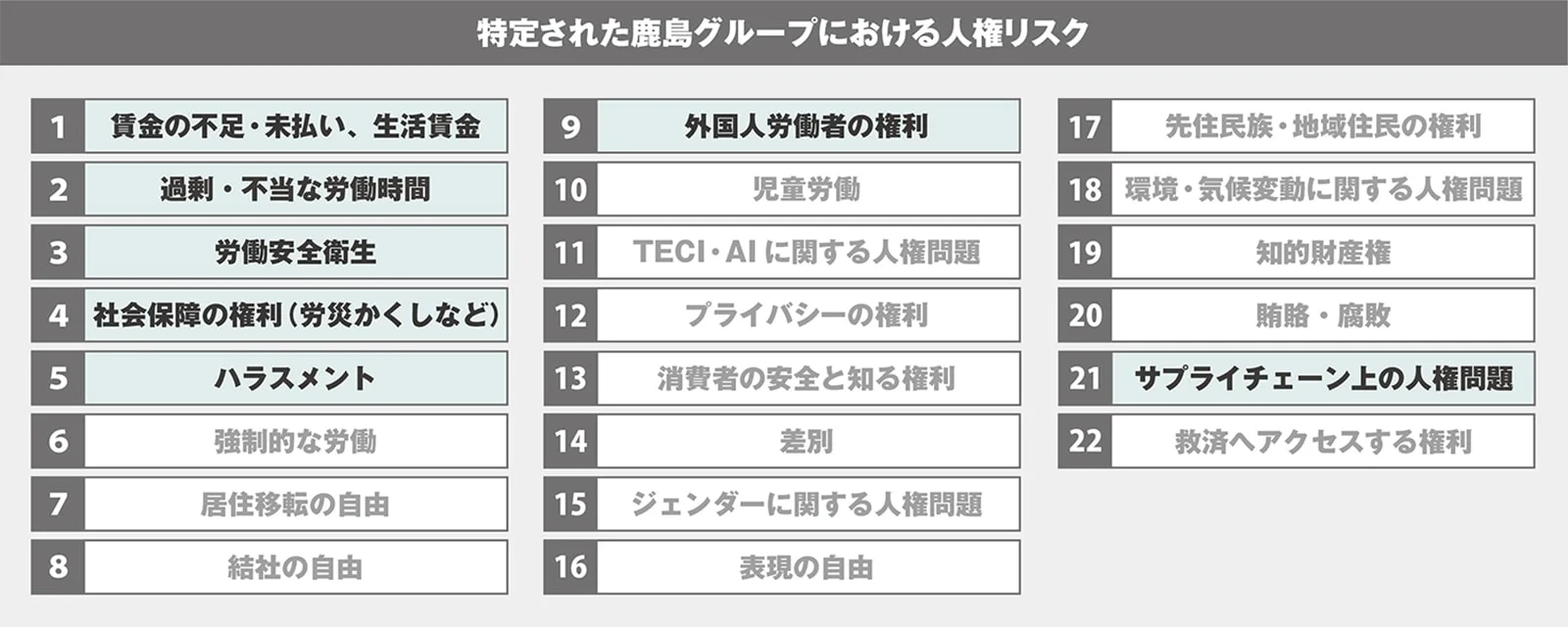 図版:鹿島本体の人権DD(2021年度実施)により特定された鹿島の人権リスク
