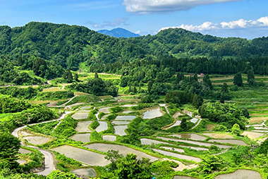 図版：星峠の棚田