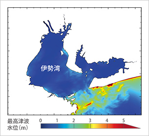 津波伝播・遡上解析例（南海トラフ連動地震を想定）