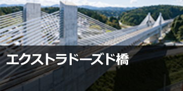 エクストラドーズド橋