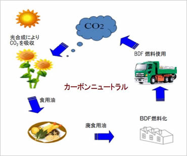図版：CO2が循環するカーボンニュートラル