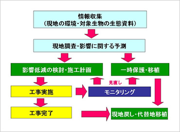 図版：水生生物の生息場所保全対策の実行フロー