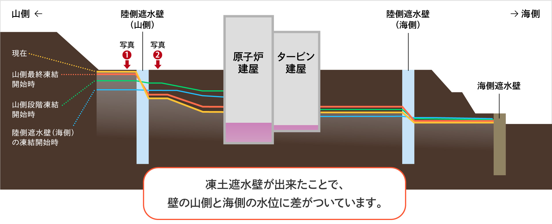 図版：凍土遮水壁ができたことによる地下水の水位変化