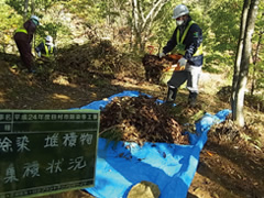 図版：草刈り・堆積物の除去