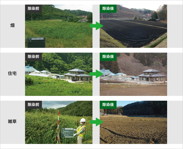 図版：除染前後の比較