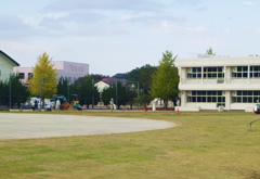 図版：富岡第一中学校グラウンド整備状況（グラウンド造成、芝張）