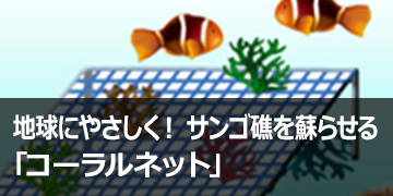 地球にやさしく！　サンゴ礁を蘇らせる「コーラルネット」