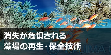 消失が危惧される藻場の再生・保全技術