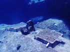 図版：内閣府　実海域実験場提供システム　那覇港内サンゴ再生実験