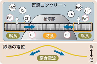 図版：再劣化のメカニズム